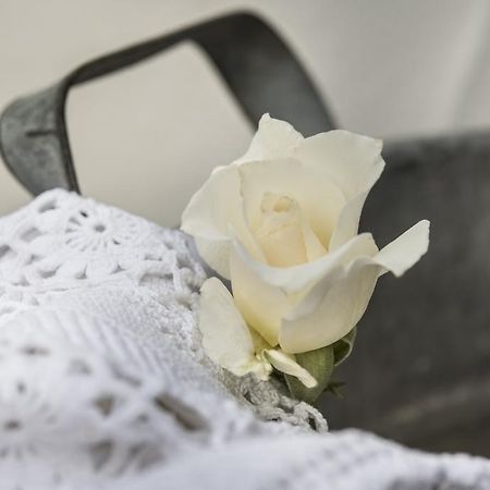 Il Giardino Di Ortensia B&B Bientina ภายนอก รูปภาพ